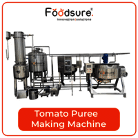 Tomato Puree and Ketchup Making Plant