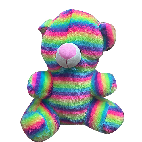 4 No Rainbow Teddy