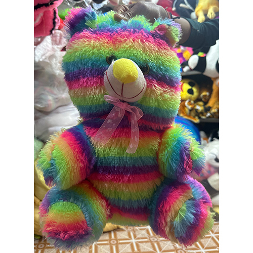 2 No Rainbow Teddy