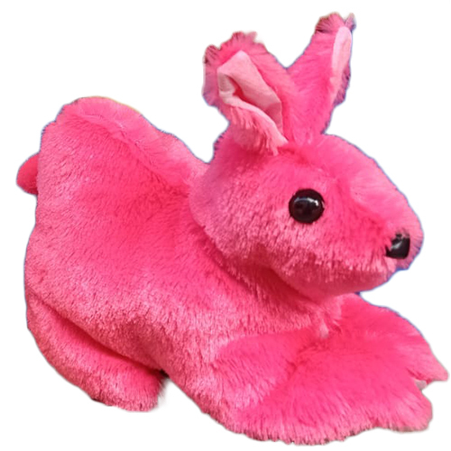 Big Rabbit Soft Toys