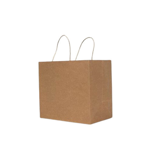 11 X 8 X 9inch Paper Carry Bag With Handle