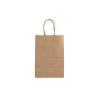 10 X 4 X 12inch Paper Carry Bag With Handle