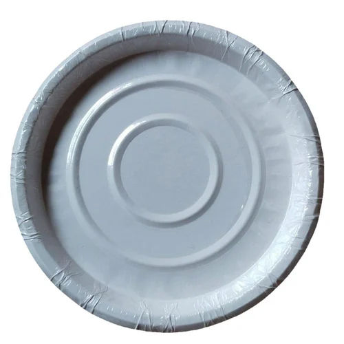 11inch Disposable Paper Plate