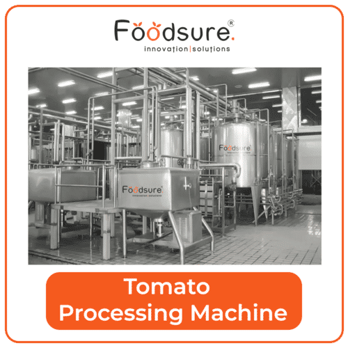 Tomato Processing Machine Capacity: Upto 3000 Kg Kg/Hr