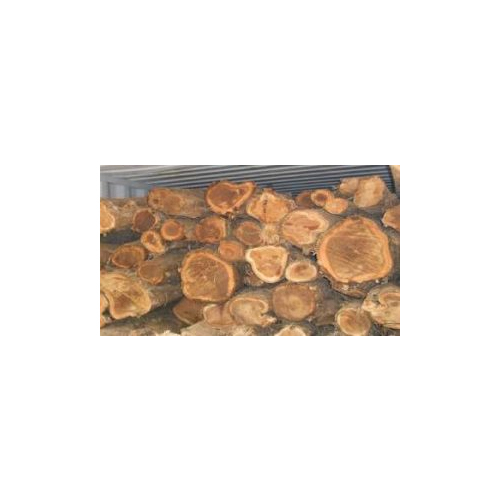 Costica Wood Logs