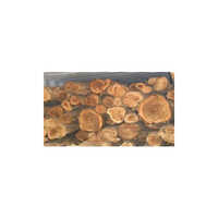 Costica Wood Logs - Core Material: Solid Timber Core
