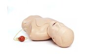 Ng Tube And Trach Care Trainer - Pvc Material, Ivory Color | Anatomical Head With Simulated Lungs And Stomach For Comprehensive Medical Procedure Practice