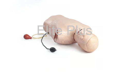 Deluxe Difficult Airway Trainer