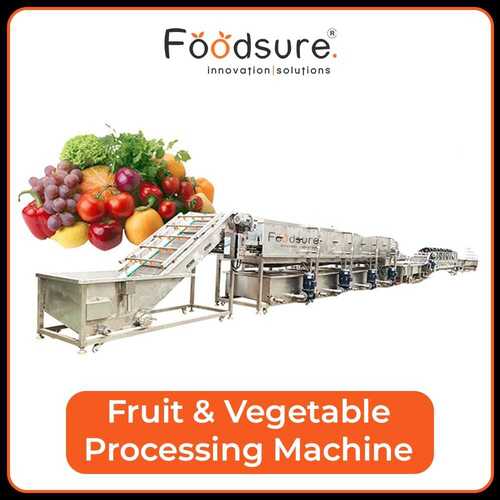 Fruit And Vegetable Processing Plant