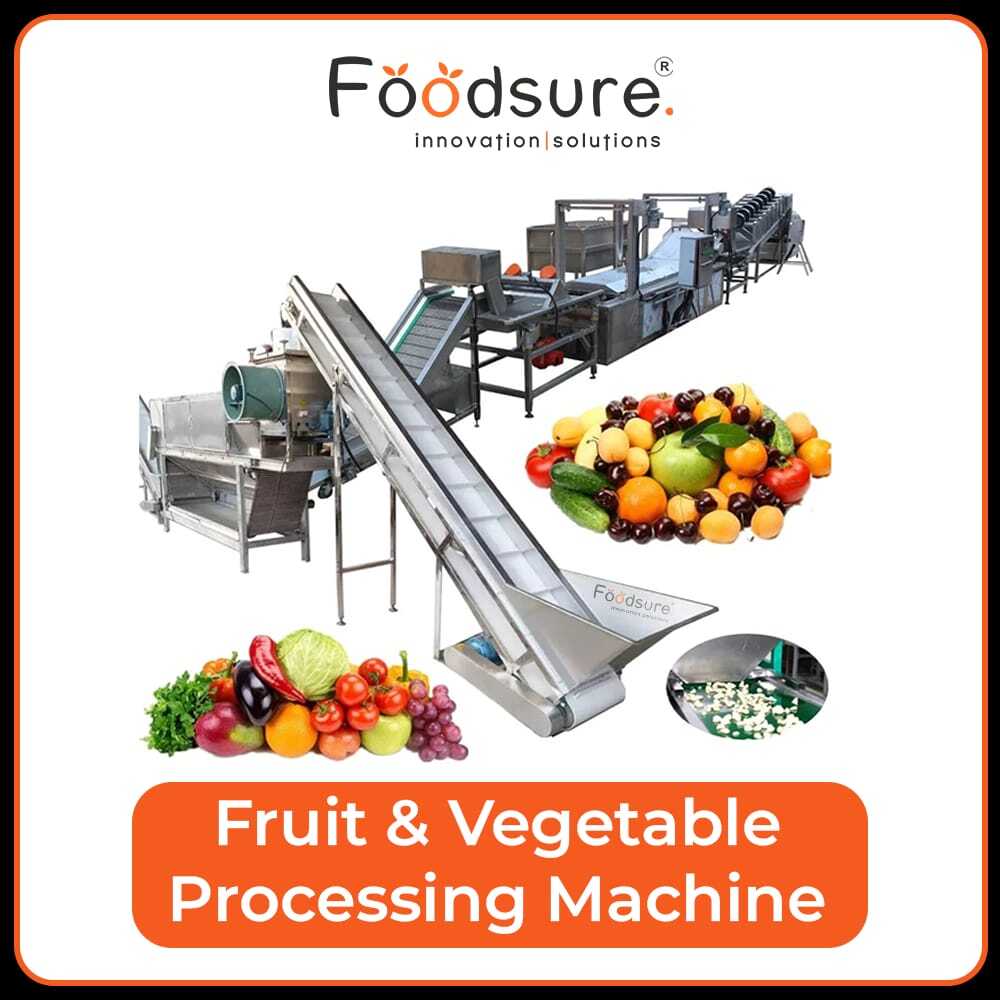 Fruit And Vegetable Processing Plant