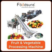 Fruit And Vegetable Processing Plant