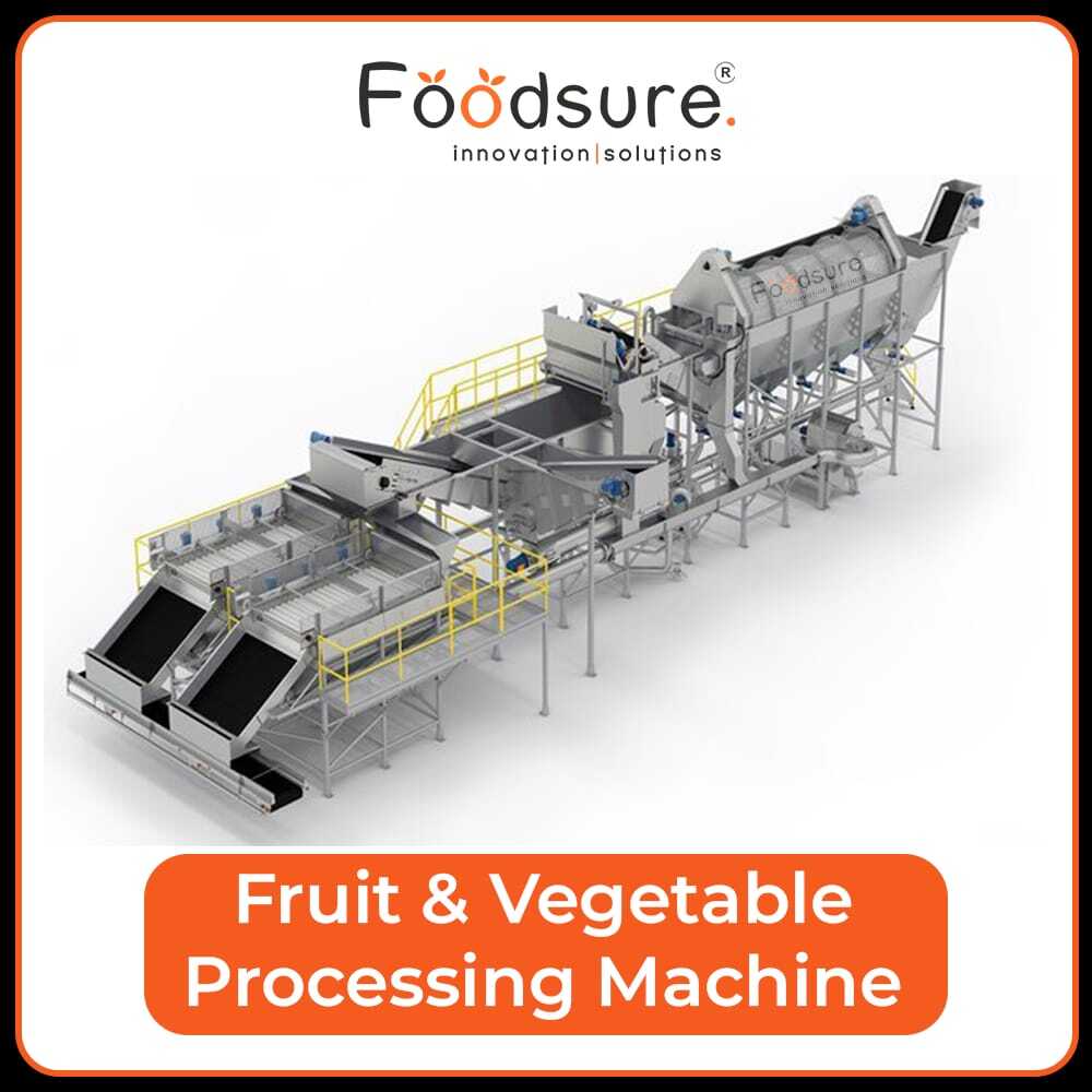 Fruit And Vegetable Processing Plant