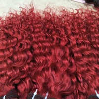 Natural Curly Colour Hair Extensions