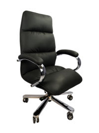 Adhunika High Back Revolving Office Chair (25x23x49)