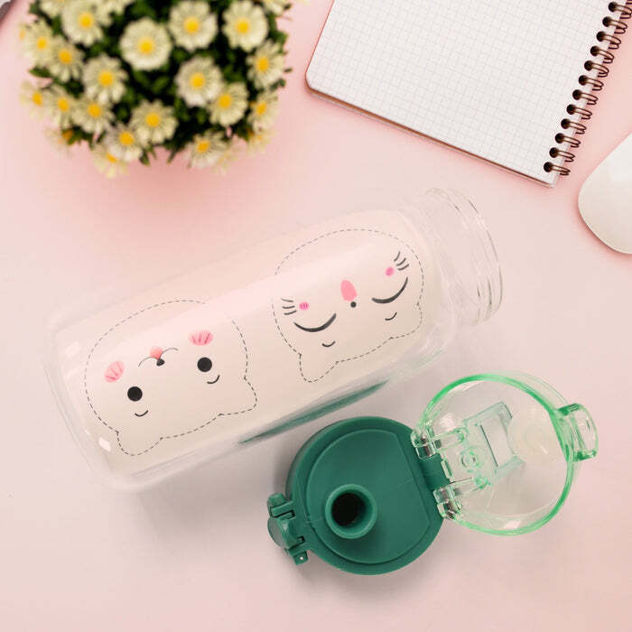 ANTI-LEAK GLASS WATER BOTTLE