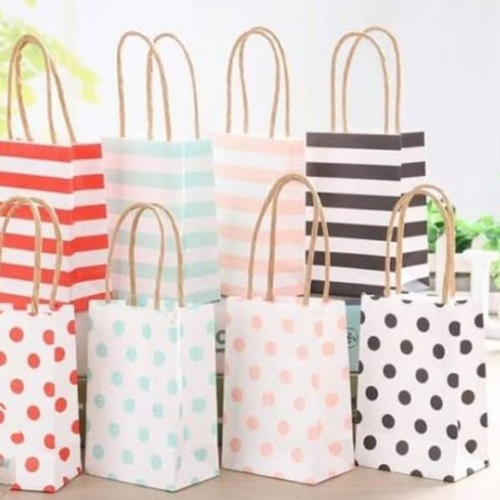 Shopping Gift Paper Bag