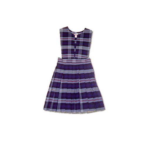 Check Skirt School Uniform