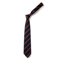 Striped School Tie