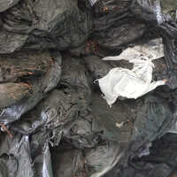 Nylon Tyre Cord Rubber Compound - Ash %: Nil