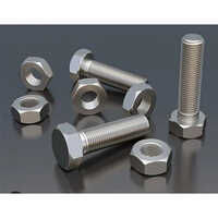 Stainless Steel And Hex Bolt