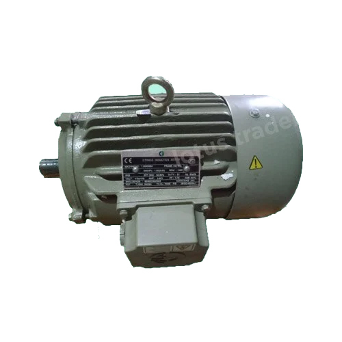 Electric Induction Motor