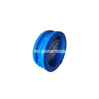 Double Flange Dual Plate Check Valve