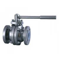 Metallic Valves - Color: Silver