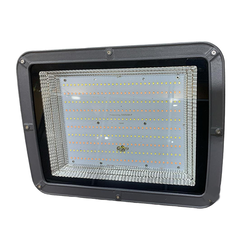 150w Flood Light With Back Choke