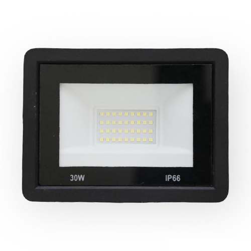 30W Flood Light