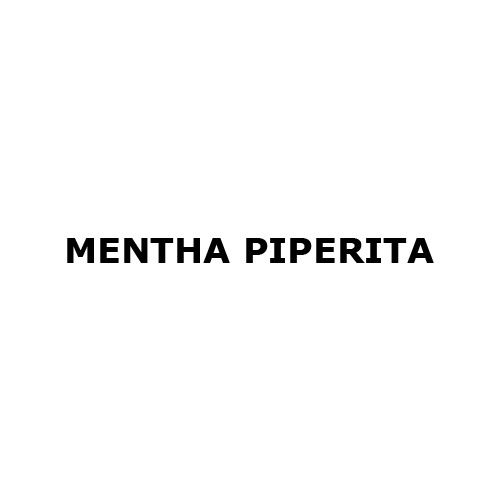 Mentha Piperita - Application: Industrial