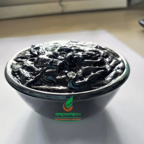 Humic Acid Gel Application: Plant Growth