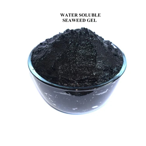 Seaweed Extract Gel