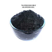 Seaweed Extract Gel - Liquid Organic Fertilizer, Black Color for All Crops, Maximize Yield Potential & Enhance Nutrient Uptake