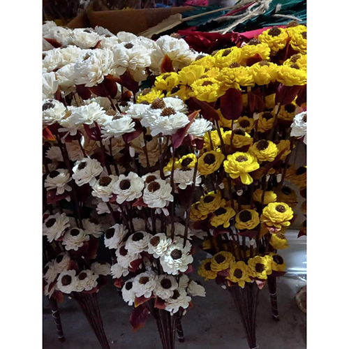 Orchid Gulbarga