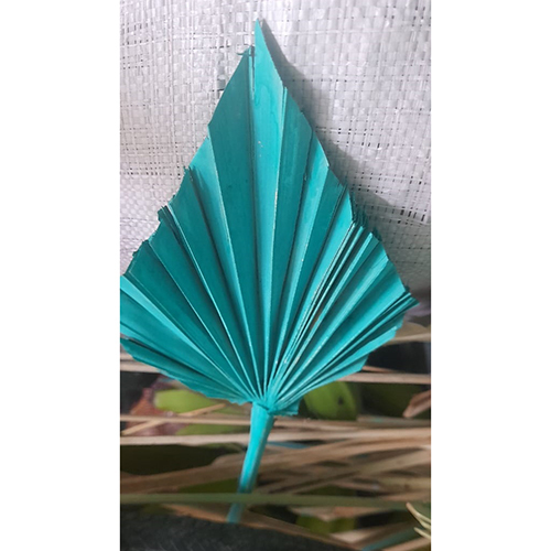 Palm Spear