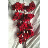 Red Rosy Stick