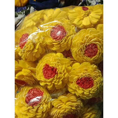 Yellow Daisy