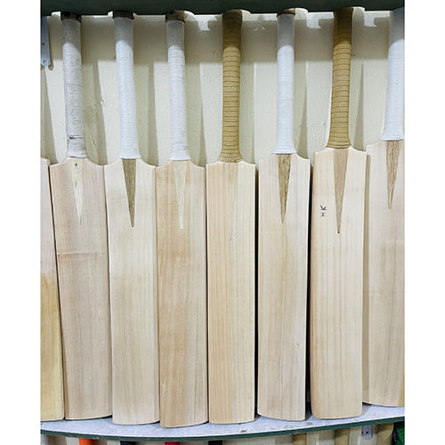 Kashmir Willow Cricket Bat