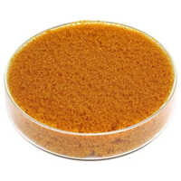 Ion Exchange Resin
