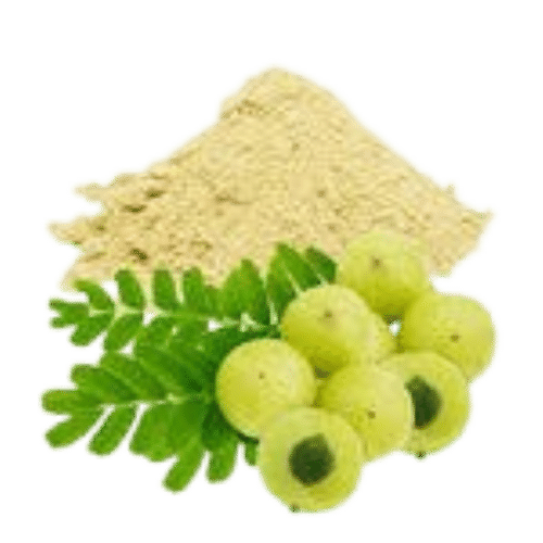 Herbal Amla Powder