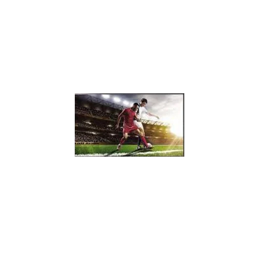 LG Commercial TV