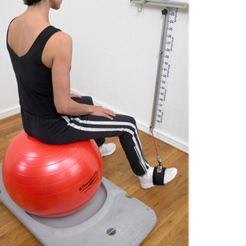 TheraBand Rehab and Wellness Station