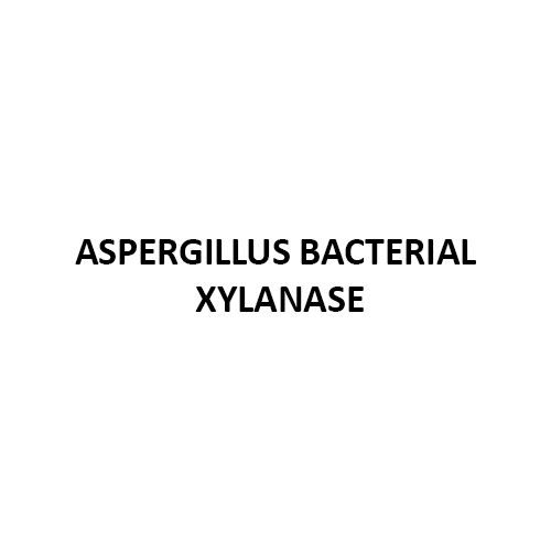 Aspergillus Bacterial Xylanase - Physical Form: Powder