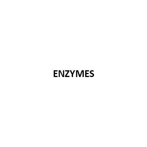 Enzymes Paper Chemicals