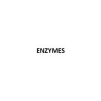 Enzymes Paper Chemicals