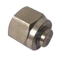 Stainless Steel Tube Plugs - Stainless Steel, Round Shape, Silver Color, Polished Surface Treatment | Durable, Corrosion-resistant, Warranty Included
