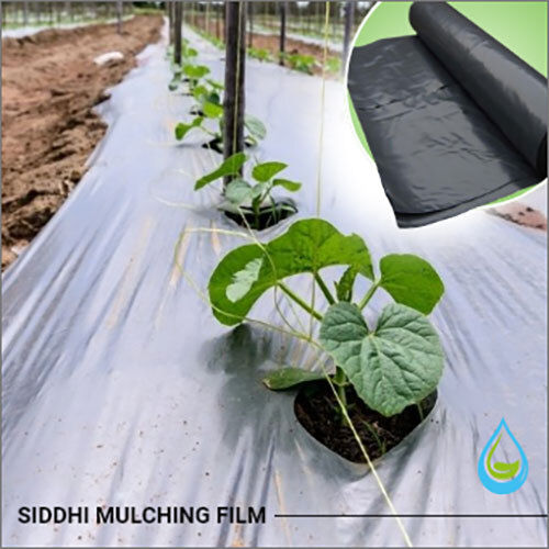 Mulching Film 30 Micron Black - Silver 400 Meter Roll