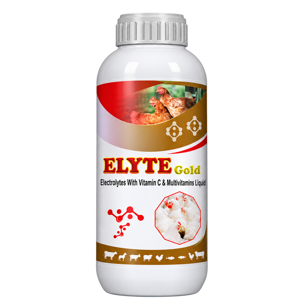 ELTYE GOLG Electrolytes With Vitamin C & Multivitamins Liquid for poultry