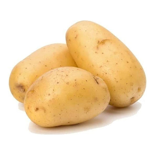 Fresh Potato