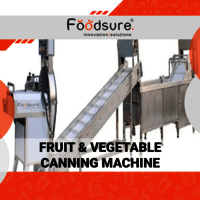 Fruits and Vegetable Canning Machine